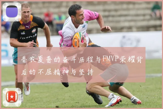 香农夏普的奋斗历程与FMVP荣耀背后的不屈精神与坚持