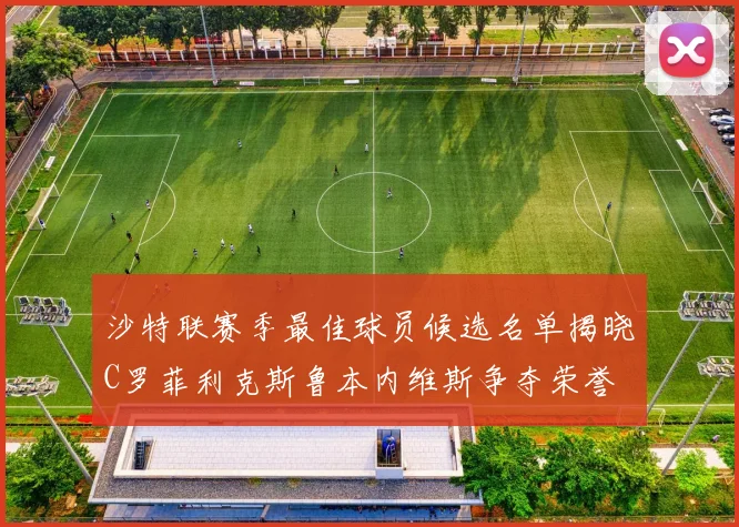 沙特联赛季最佳球员候选名单揭晓C罗菲利克斯鲁本内维斯争夺荣誉