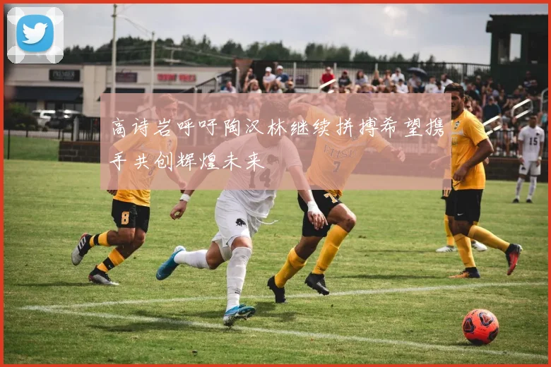 高诗岩呼吁陶汉林继续拼搏希望携手共创辉煌未来
